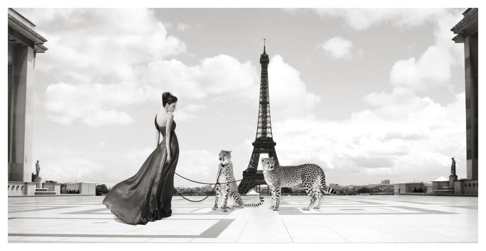 Trocadero ViewPaper Art62 inchx32 inch