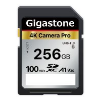 Gigastone 256Gb Sd Card V30 Sdxc Memory Card High Speed 4K Ultra Hd Uhd Video Compatible With Canon Nikon Sony Pentax Kodak Olympus Panasonic Digital Camera With 1 Mini Case